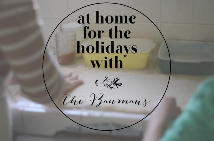 Home_for_the_holidays_bauman_graphic